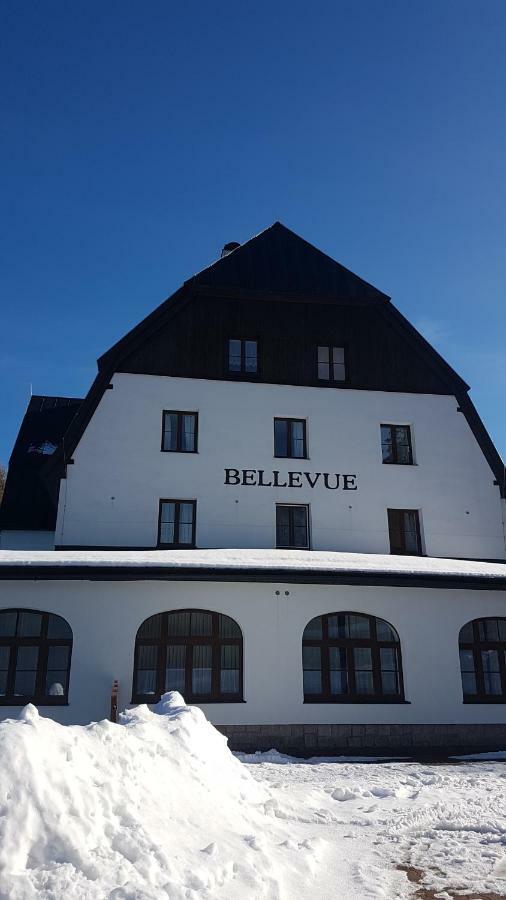 Luxusni Mezonetovy Apartman Bellevue - Novy Benecko Exterior foto